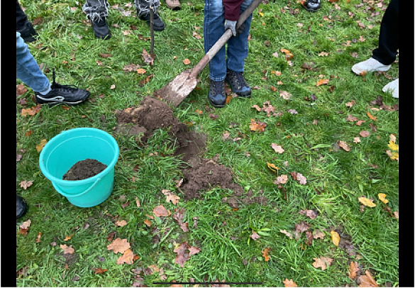 Ein grüner Eimer mit Aushub auf einer Wiese.