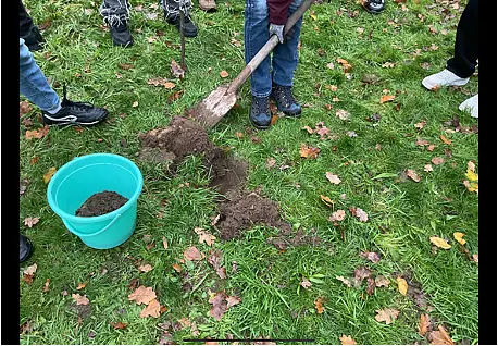 Ein grüner Eimer mit Aushub auf einer Wiese.